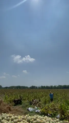 Magetan berladang  🍈