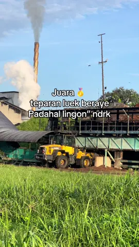 Arak knce pade?  #fyppppppppppppppppppppppp #tiktoklombok #fypシ゚viral 