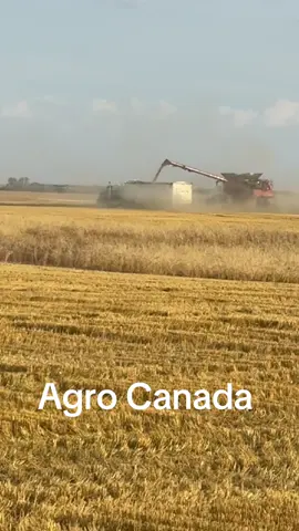 #Agro #2025 #farmlife #farmlife 