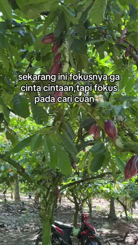 karna kalau udah pnya cuan,cinta manasih yg ngak nyangkut🤣#promoseruweekend #masukberanda #fyp 