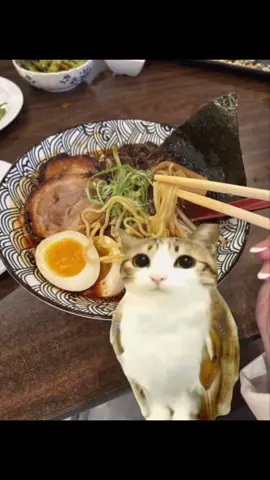 Se me antojó una Maruchan haciendo este video #ramen #meowl #comosehaceelramen #pinchetiktokponmeenparati #pinchetiktokponmeenparati 