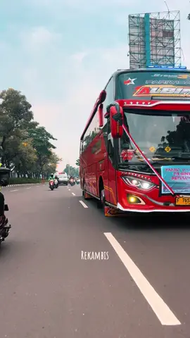 #huntingbus #ngoyodbus #busbasuri #fypシ゚ @Official Albino 005 