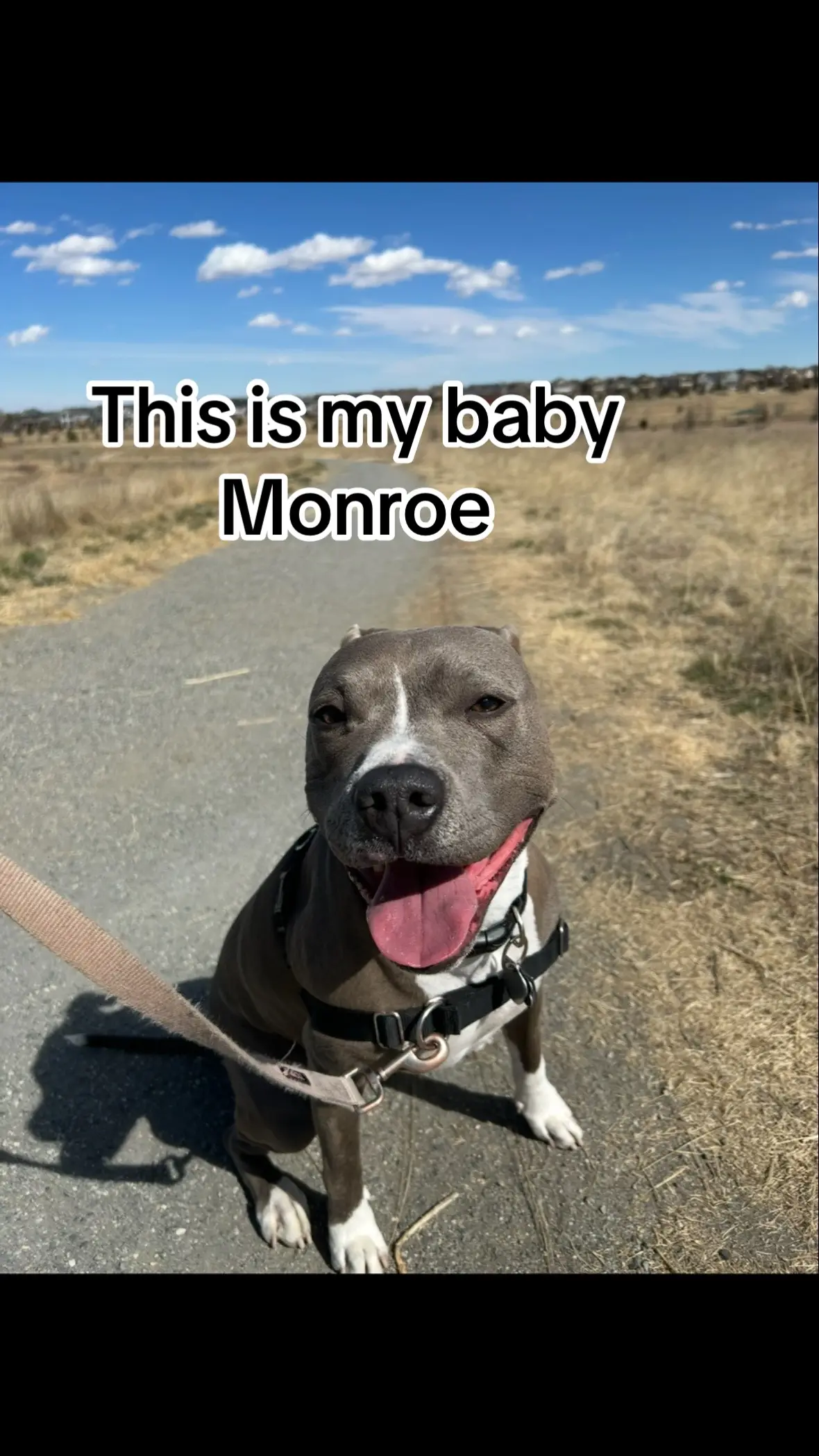 I have some severe anxiety, and this has been the worst 3 weeks. I’m so scared all the time and I can’t stop watching everything she does. If anyone has guidance on how to help with these extreme emotions, I would love to hear it.  #MentalHealth #anxiety #dogsoftiktok #doghipdysplasia #hipdysplasia 
