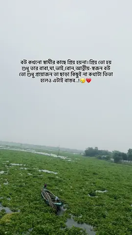 বউ কখনো স্বামীর কাছে প্রিয় হয়না।প্রিয় তো হয় শুধু তার বাবা,মা,ভাই,বোন,আত্নীয়-স্বজন বউ তো শুধু প্রয়োজন তা ছাড়া কিছুই না কথাটা তিতা হলেও এটাই বাস্তব..!🥲💔#foryou #viral #viralvideo #fypppppppppppppppppppppp #tiktokofficial 