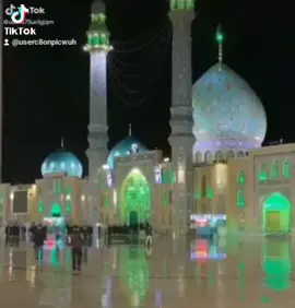 يارب فاطمة بحق فاطمة اشف صدر فاطمة بظهور الحجة