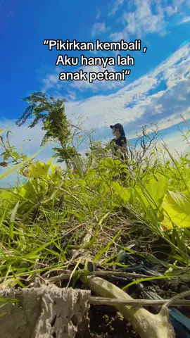Info wong macul wkwk😁😄 #foryoupage #fyppppppppppppppppppppppp #masukberanda #petaniindonesia🇮🇩🇮🇩🇮🇩🌿🌿 