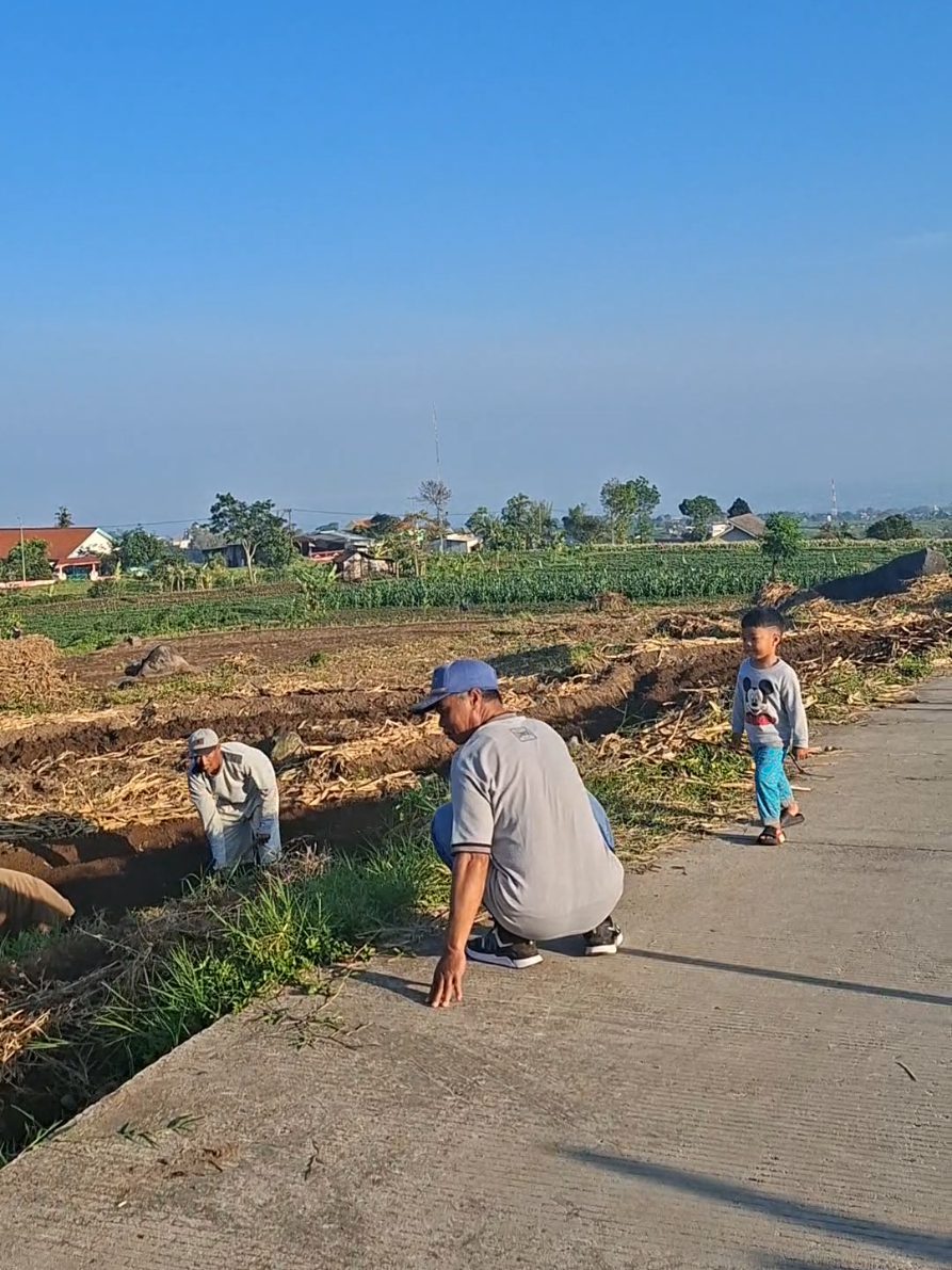 Kampung petani yang ada di pacet,bertani juga berwisata menikmati suasana alam yang sebenarnya. #salamsantun  #wisataalam  #pacet  #mojokerto  #petanimuda 