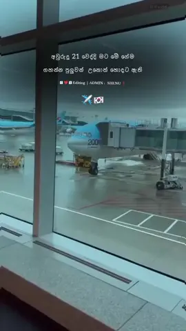 හොදටම ඇතී ❗ 🥺❤️🇰🇷 #dreamkorea🇰🇷🇰🇷😘 #foryoupage #කොරියාවට_පිස්සු_වැටුන_අය_කෝ🇰🇷✈️ #සිහින_දේශය_❤️🇰🇷 #south_korea🇰🇷 