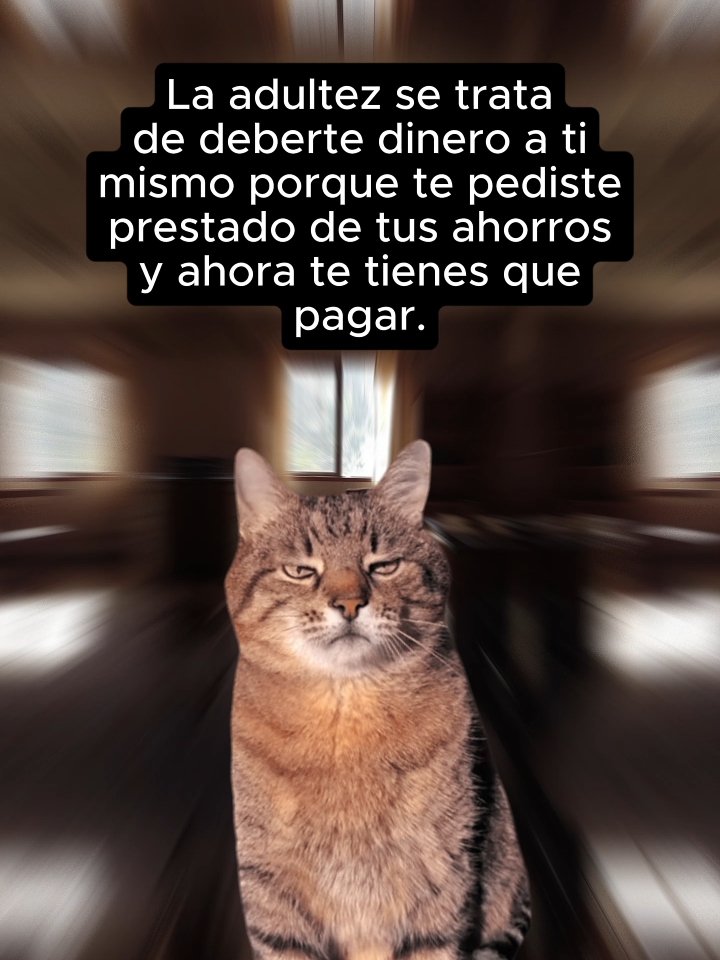 Nada como ser tu propio banco, tu propio cobrador y tu propio deudor… con cero chances de condonar la deuda. 😂🏦 #HumorDeAdultos #DeudasConUnoMismo #ModoAdultez #HumorFinanciero