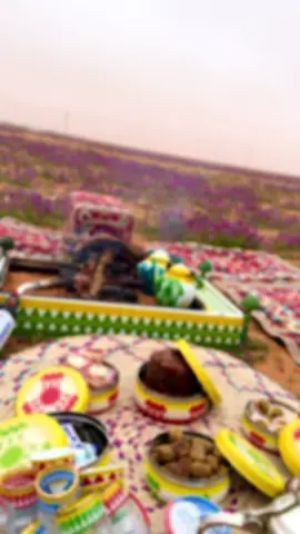 وطنيتي 🇸🇦🇸🇦🇸🇦