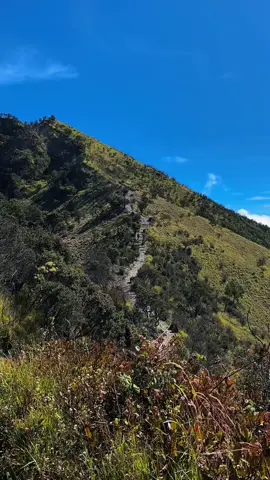 Jalur iconic gunung lawu via c1000🤩 #lawumountain #lawuviacemorosewu #pendakigunung #pendakiindonesia #4u 