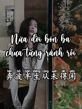 Nửa đời bôn ba chưa từng rảnh rỗi / 奔波半生从未得闲 #CapCut #奔波半生从未得闲 #xh #xuhuongtiktok #nhactrung 