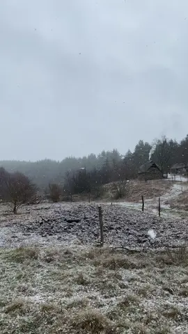 Кожна сніжинка як лист із небес… #природа #рекомендации #nature #slowlife #україна 