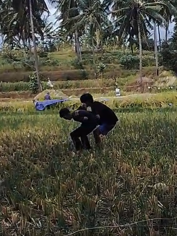 Membalas @nfyy_008  anak sekecil itu berkelahi dengan layangan 3m dengan angin september yang membuat hampir terseret  #fyp #viral #keseretlayangan  #anginseptember #layanganbigsize 
