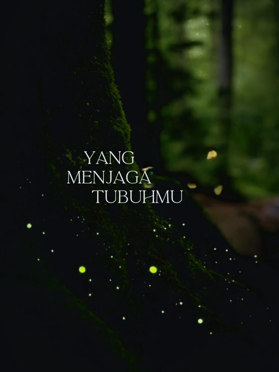 Cinta yang tak pernah pergi #quotesislam #selfreminder #bismillahfyp #motivasihidup #shortvideo 