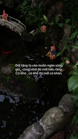 …#tamtrang #story 
