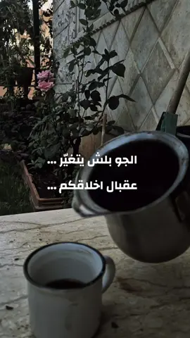 حب و علاقات #searchinsightcreators #creatorsearchinsights #صباح_الخير #حب #قهوة_الصباح 