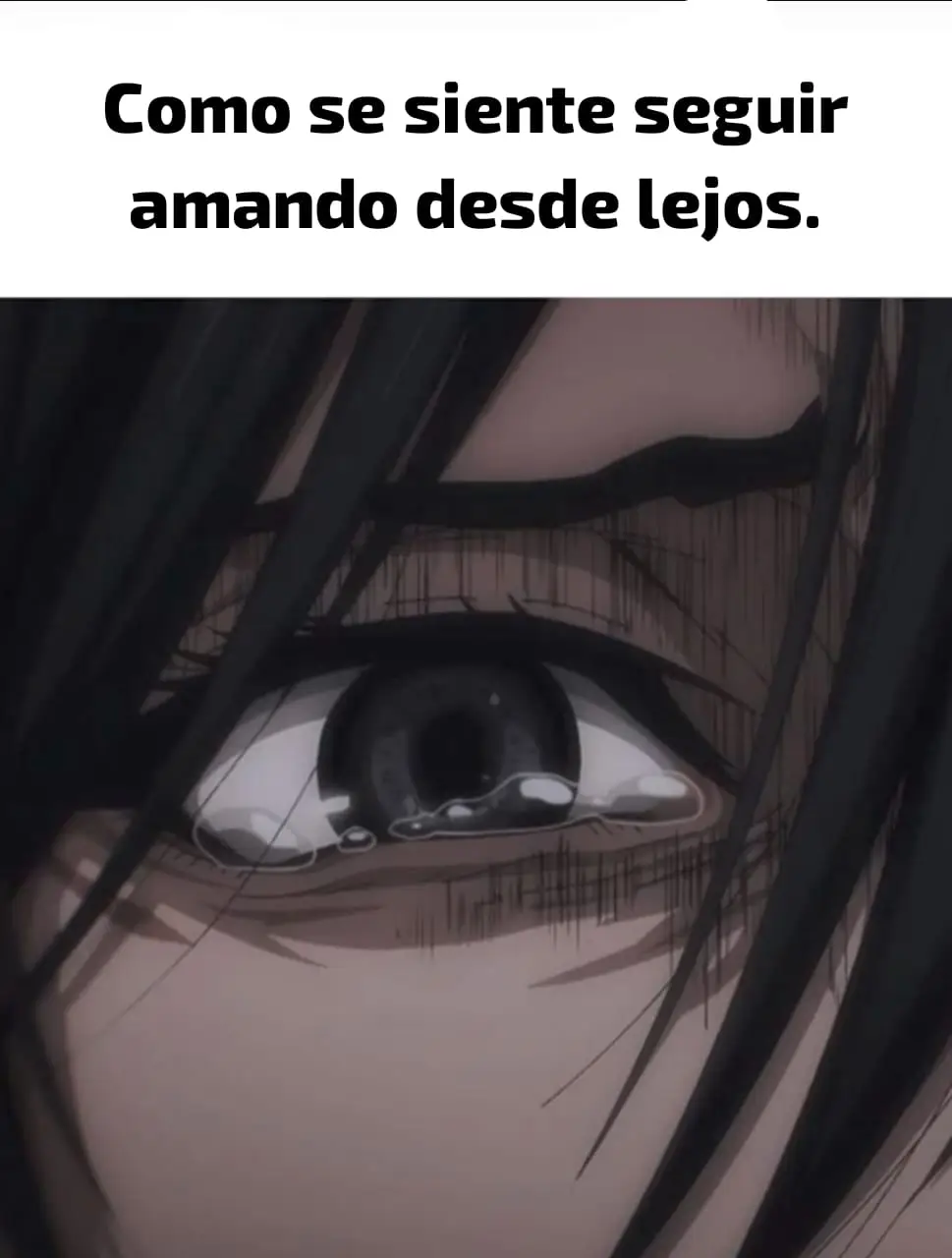 Si, soy consciente de que esa persona ya no volverá, yo aun la amo con toda mi alma, pero esa persona ya esta conociendo a alguien más, duele el solo hecho de pensar en eso, al día siguiente de haber terminado ya estaba conociendo a alguien, la quiero buscar pero no quiero arruinar su tranquilidad sin mi presencia, por eso la amo, la ame y la amaré incluso si eso significa alejarme y amarla desde lejos...  #desamor #textorojo #teamo #rupturaamorosa #frases 