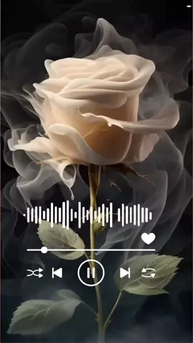 🥀💔🥀💔🥀💔🥀💔🥀