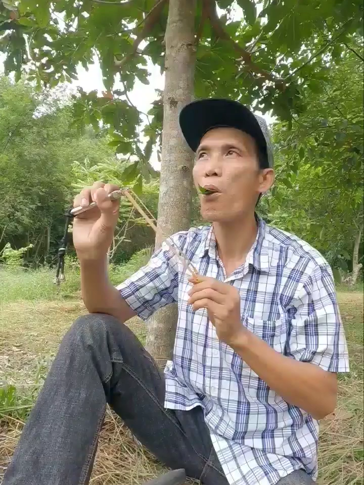 #entertainment #birdsounds #shorts #nguyendientrung - Nguyễn Điền Trung