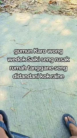konsepe piye