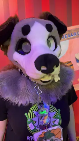 👀 @⋆bowie⋆ #fursuit #sunglasses #trend #fursuiter #nzfurry 