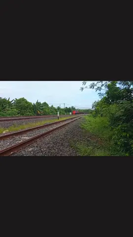 Lokomotif CC 205 Angkatan 2025 #KAI #KAI121 #DIVRE4 #babaranjang #Lewatberanda 