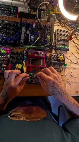 evening live practice with @Bastl Instruments wavebard. Mast say thhis device is pure fun and inspiration Breakcore box. All sounds in videos is from Bard + some effects on top. #bastl #wavebard #breakcore #jungle #live     