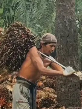 surga memang tdk terletak di kaki ayah tapi ayah akan selalu jadi pahlawan yang sesungguhnya 🥀#fypシ゚ #ayah #sadstory #bismillahfyp #fypシ゚viral 
