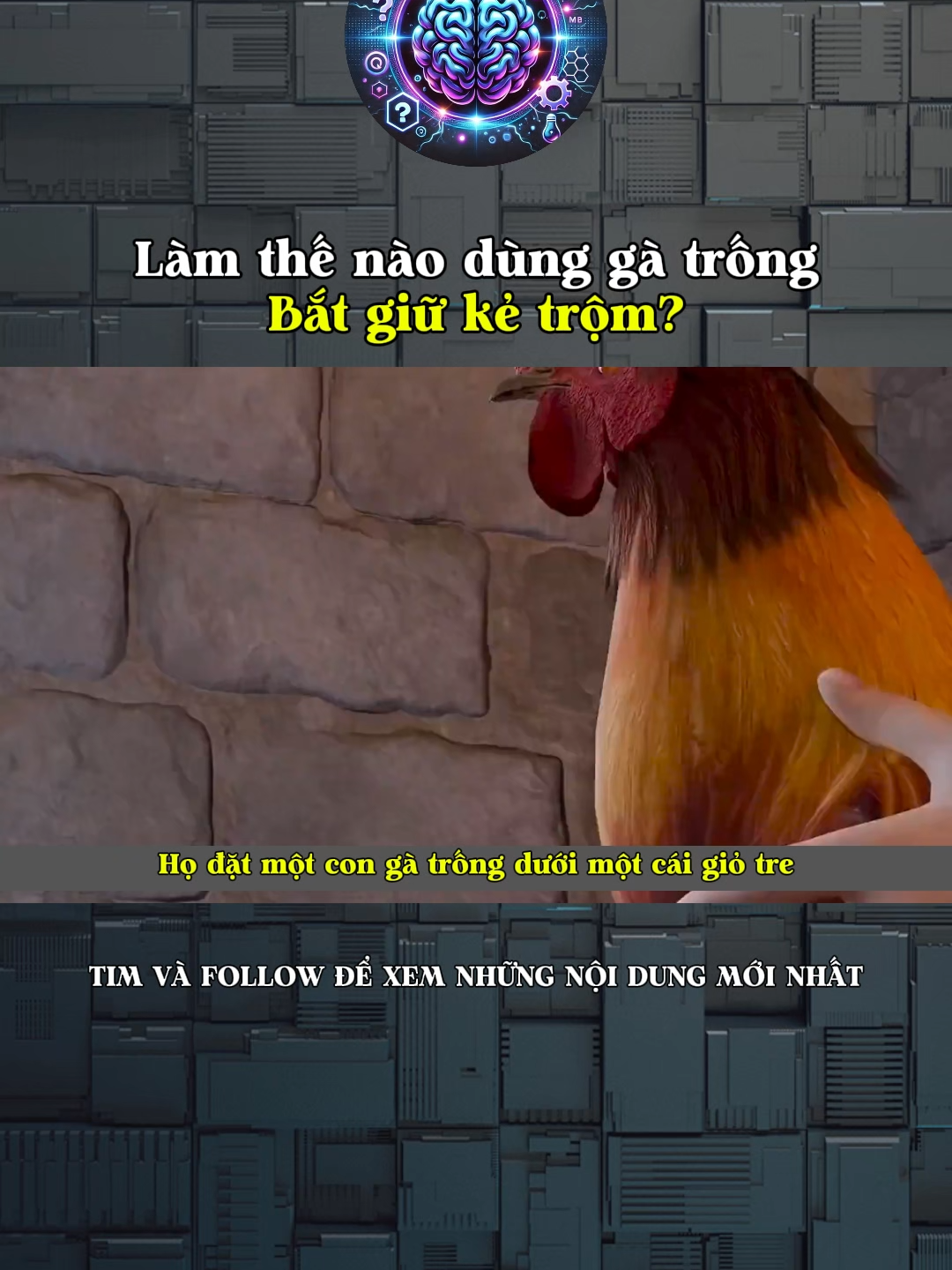 Làm thế nào dùng gà trống bắt giữ kẻ trộm?#LearnOnTikTok #kienthuc #khoahoc #kienthucthuvi #khampha #doisong