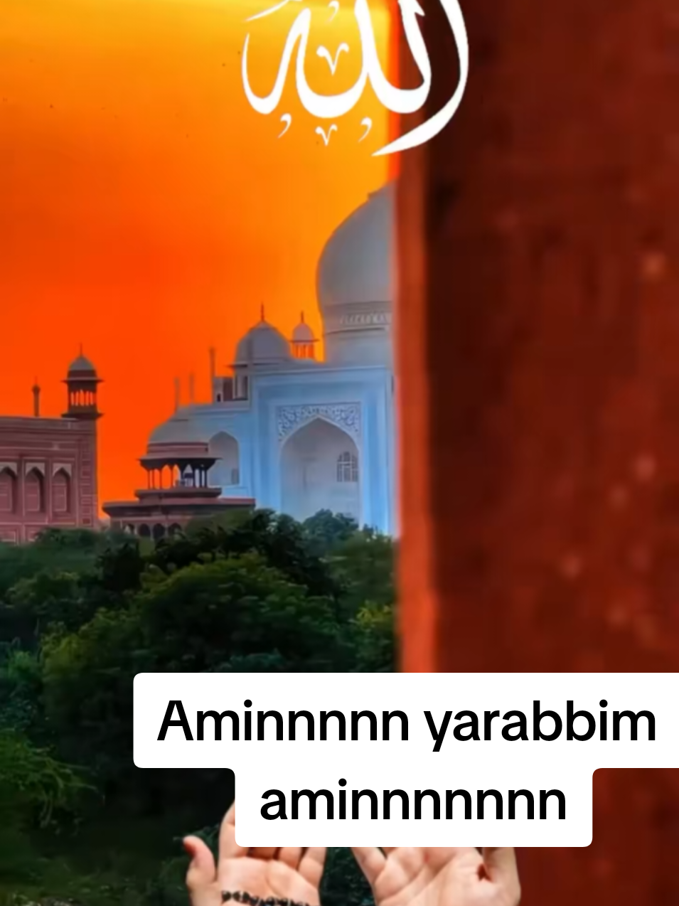 Rabbim her durumda bize yardım etsin bollukta darlıkta hastalıkta sağlıkta bir salise bile bizi nefsimizle baş başa bırakmasın aminnnn🤲🏻🤲🏻🤲🏻#dua #allah #ayet #fyppppppppppppppppppppppp #fym 