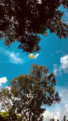 জীবনে এমন কাওকে পাইকাম না 😅🫶🏾❤️‍🩹 #foryou #foryoupage #trending #tiktok @TikTok Bangladesh 