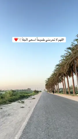 ياالله #ابن_البصره #تصميمي #الشعب_الصيني_ماله_حل😂😂 