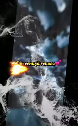 Unii oameni nu vor înțelege niciodată bunătatea din tine, iar tu nu vei înțelege răutatea din ei, asta pentru că fiecare poate înțelege doar ceea ce poartă în suflet...#dincenușarenasc #despreviata #putere #pentrusufletultău🌹 