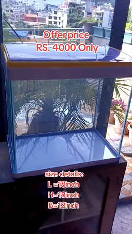#golive #Aquarium #fish_lover😊😘 #Rs.4000 only#foryou 