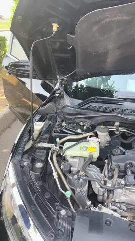 #dogarmotors 