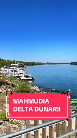 Mahmudia, o poartă de intrare în Delta Dunării #mahmudia #deltadunarii #delta #marianborcea 