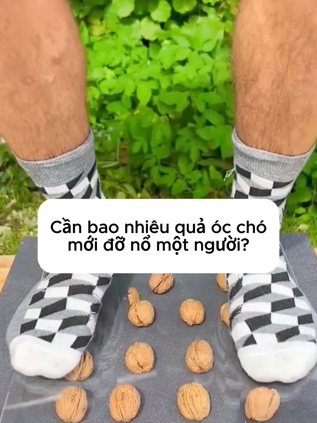 Cần bao nhiêu quả óc chó mới đỡ nổi một người? #mophong3d #mophong #thinghiem #vatly