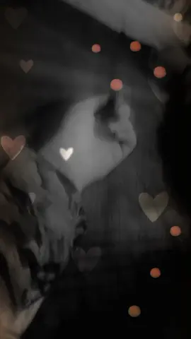 🥹🫀