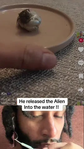 He released the Alien into the wild !! Is this real ? #fyp #kinpanama #meteorite #alienmeteor #breakingnews #closeencounter  #wormwood 