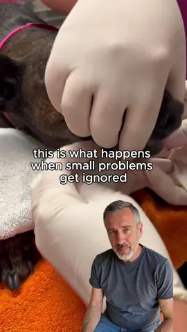Small problems lead to costly big emergencies…😔💸💔 #dog #doghealth #healthydog #vet #collagen 