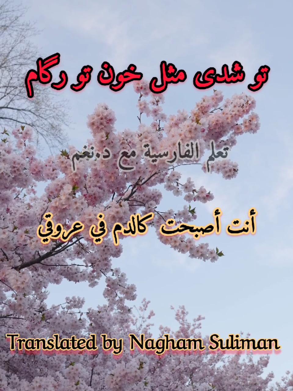 #الفارسية #أغاني_مترجمة #عربی 