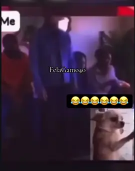 #felagamo #fyp #viralvideos 