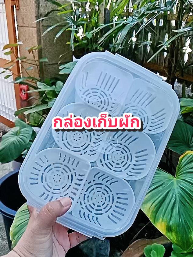 กล่องเก็บอาหาร#ของดีบอกต่อ #ของใช้ในครัว #กล่องเก็บผัก #กล่องเก็บอาหาร #กล่องเก็บอาหารในตู้เย็น @โบโบ Shop99 @โบโบ Shop99 @โบโบ Shop99 
