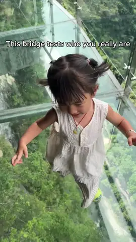 Step onto glass and fear decides for you #fearless #adventure #nature #incredible #glassbridge 