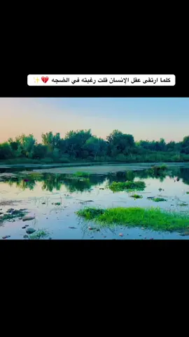 كلما ارتقى عقل الإنسان قلت رغبته في الضجه 💔✨#تصويري📷 #عباراتكم_الفخمه📿📌 