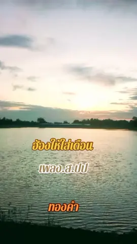 #เพลงเพราะๆโดนใจ🥀❤❤🥀 