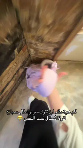 #مالي_خلق_احط_هاشتاقات🧢 #ppppppppppppppppppppppp #yyyyyyyyyyyyyyyyyyy 