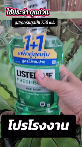 ขวดใหญ่ แพคคู่ #ลิสเตอรีน #น้ำยาบ้วนปาก  #listerine #น้ำยาบ้วนปากไม่แสบ #นู๋นานาแม่ค้าร้านชำ🥰   