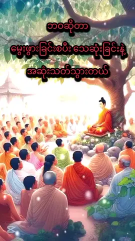 #မွေးဖွားခြင်းနဲ့သေဆုံးခြင်း🥺 #သစ္စာရွှေစည်ဆရာတော်ဘုရား